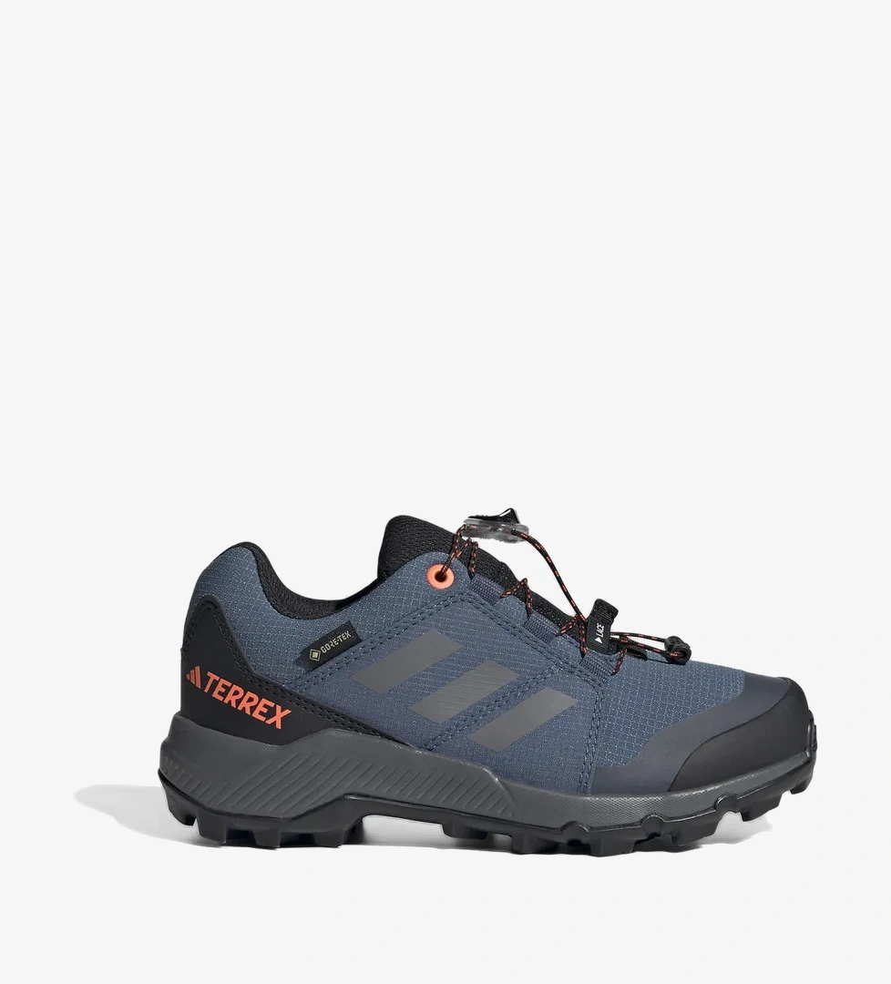 adidas Terrex Gtx K Çocuk Mavi Spor Ayakkabı - Görsel 1