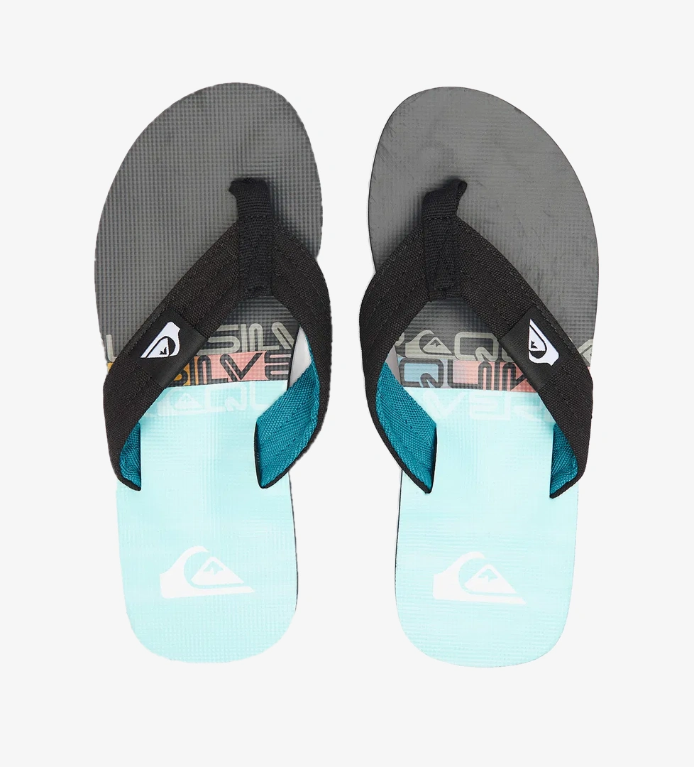 Quiksilver Molokai Layback II Erkek Mavi Terlik - Görsel 1