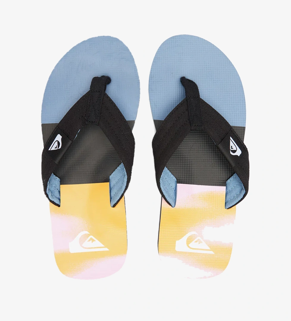 Quiksilver Molokai Layback II Erkek Renkli Terlik