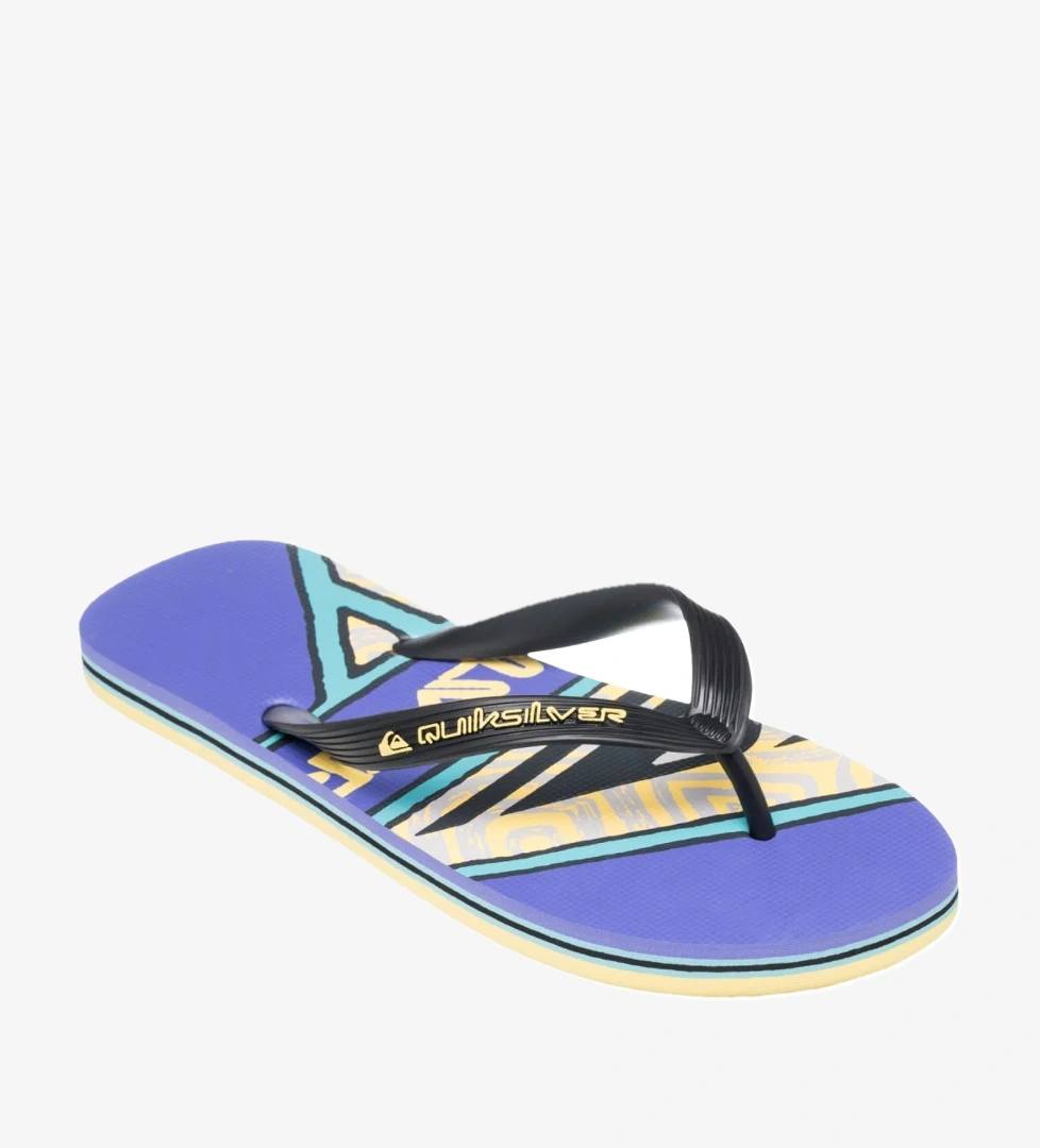 Quiksilver Quiksilver Molokai Screen Erkek Terlik model görseli