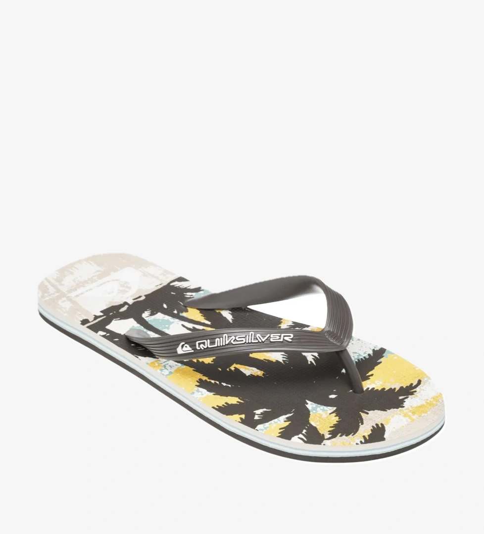 Quiksilver Molokai Art 25 Erkek Terlik - Görsel 1