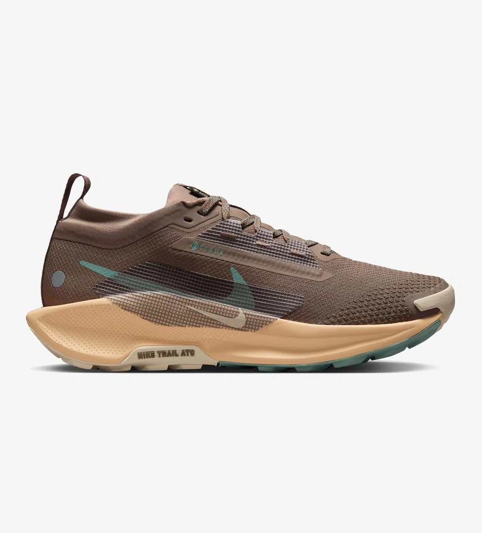 Nike Pegasus Trail 5 Gore-Tex Kadın Kahverengi Koşu Ayakkabısı