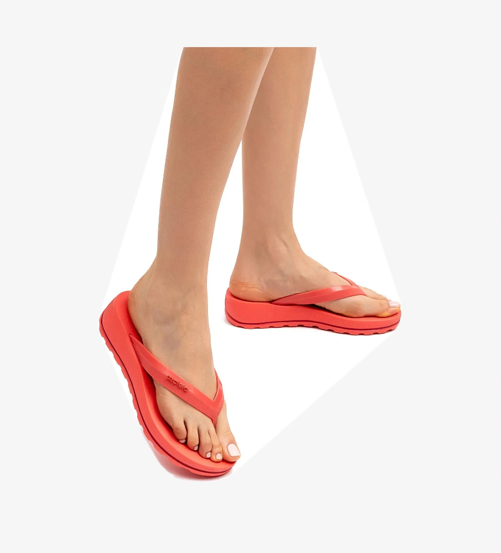 Fabi Line Kadın Parmak Arası Terlik Kırmızı 35/40 - Görsel 1