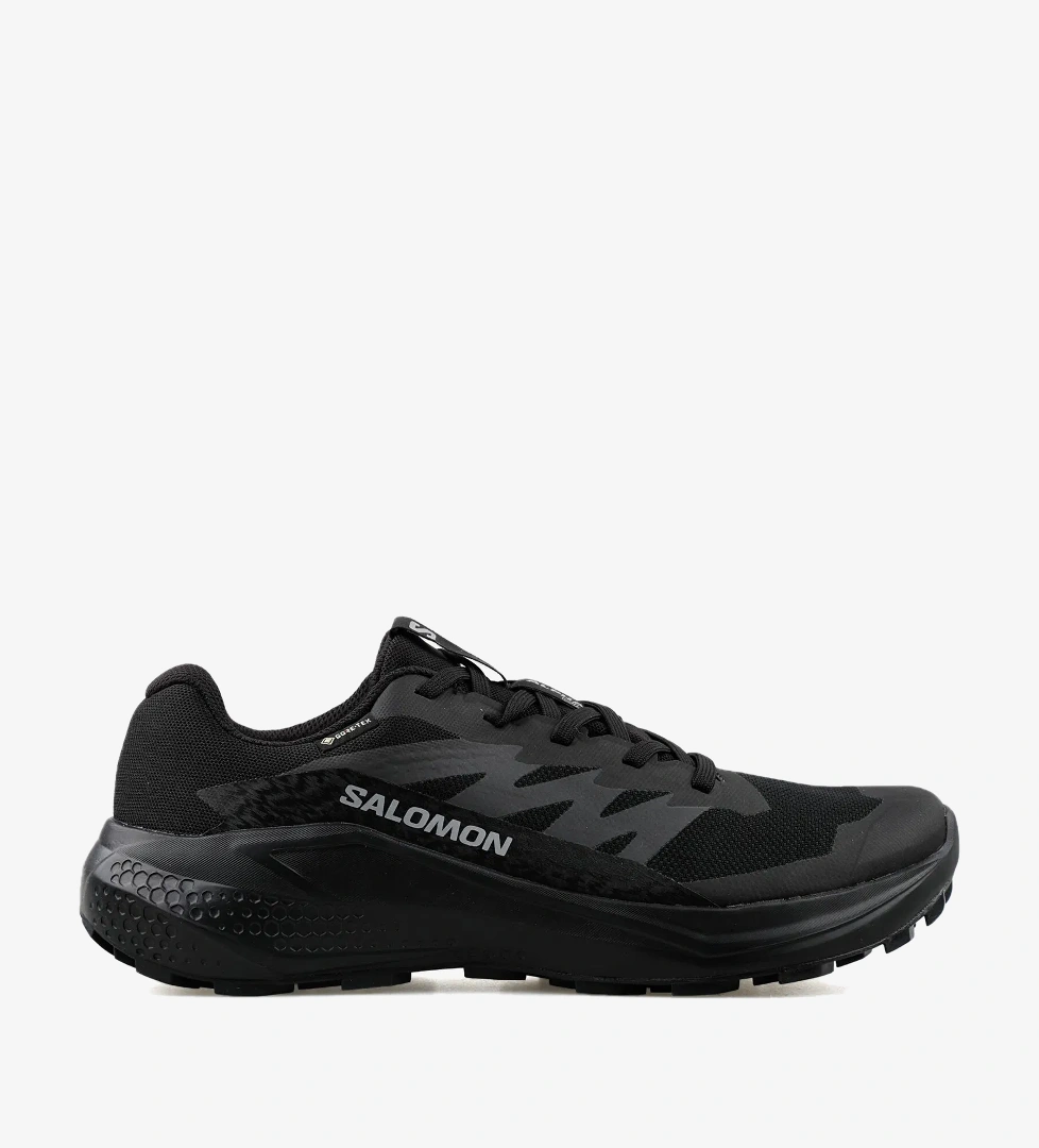 Salomon Salomon Alphaglide Gore-Tex Erkek Siyah Koşu Ayakkabısı model görseli