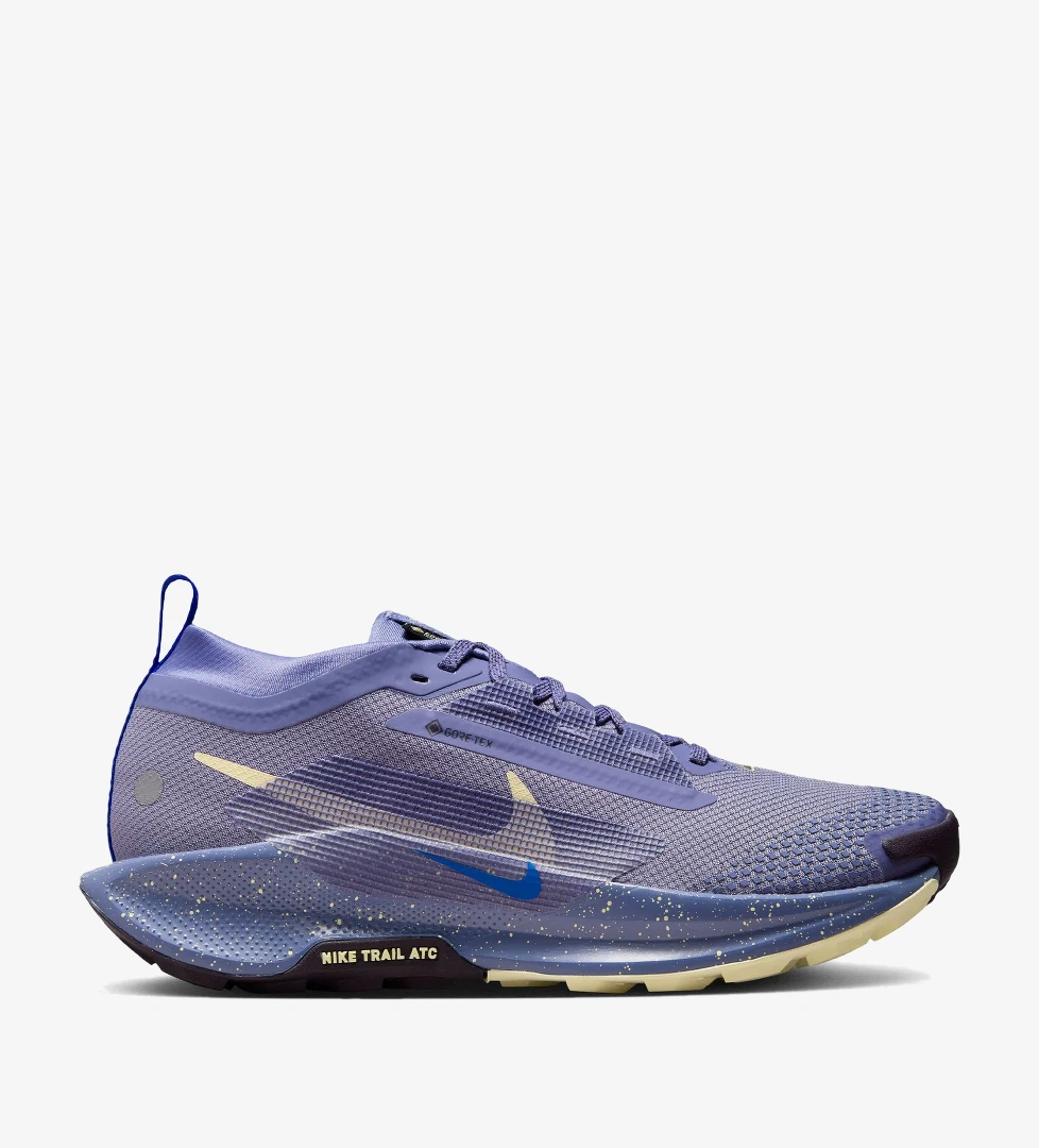 Nike Pegasus Trail 5 Gore-Tex Kadın Mavi Koşu Ayakkabısı