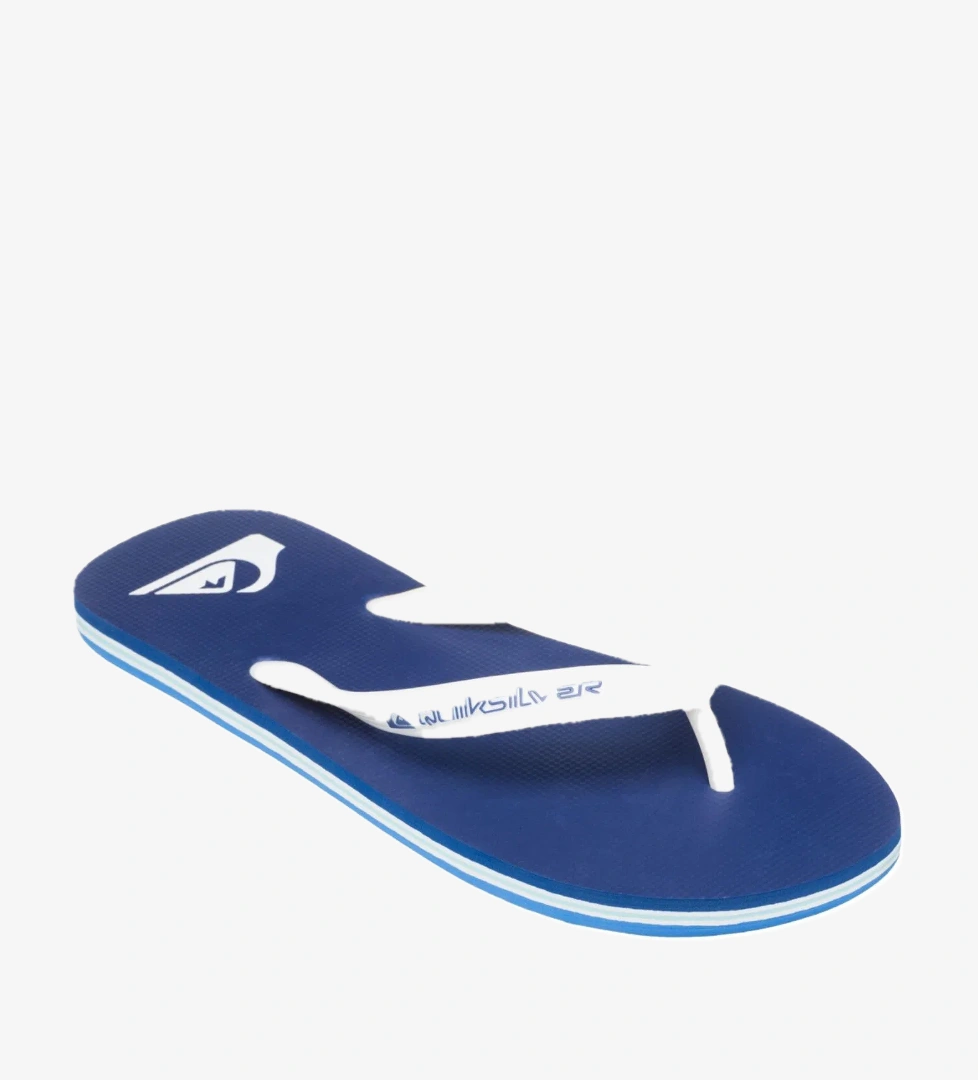 Quiksilver Molokai Core Erkek Mavi Terlik