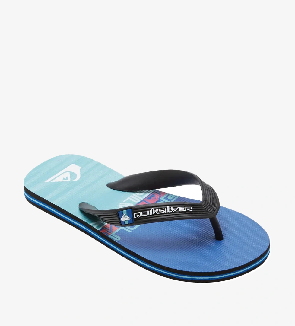 Quiksilver Quiksilver Molokai Art II Youth Erkek Çocuk Terlik model görseli