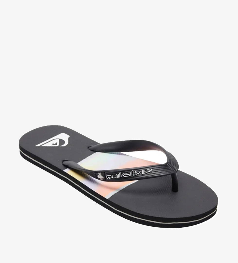 Quiksilver MOLOKAI AIRBRUSHED model görseli