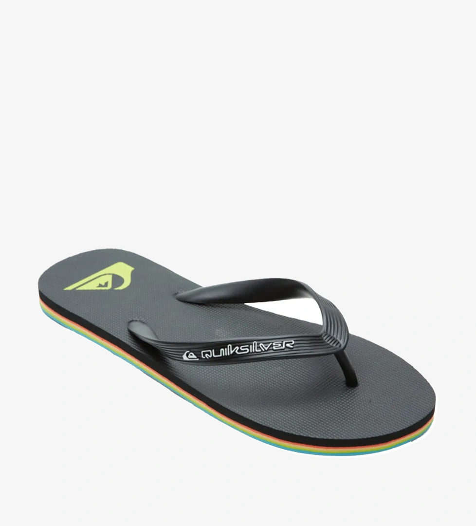 Quiksilver Quiksilver Erkek Terlik Molokai Core model görseli