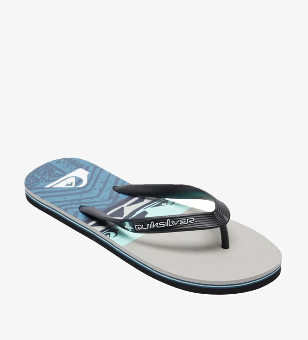 Quiksilver Quiksilver Erkek Terlik Molokai Panel model görseli