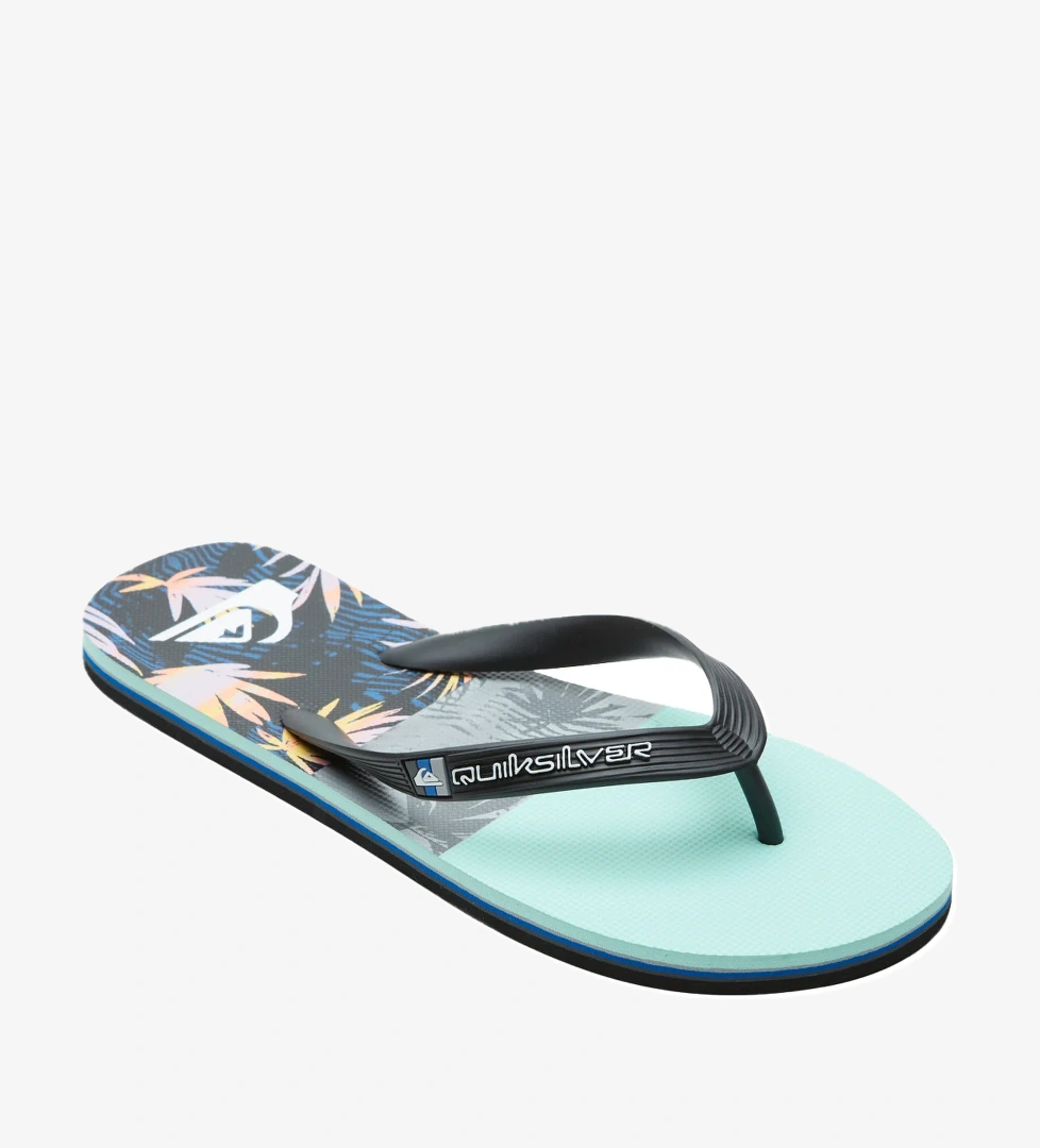 Quiksilver Quiksilver Erkek Terlik Molokai Panel Günlük Giyim model görseli