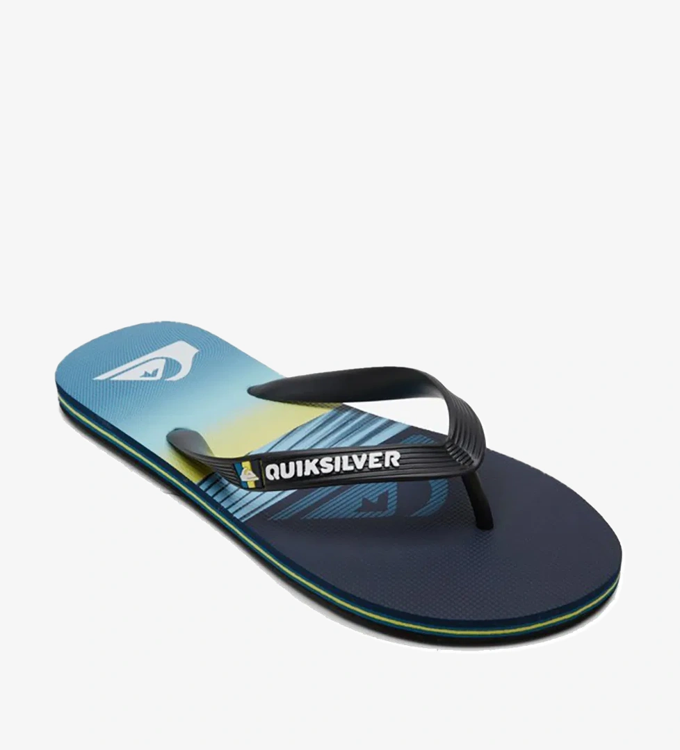 Quiksilver Quiksilver Erkek Terlik Molokai Panel Mavi Günlük Giyim model görseli