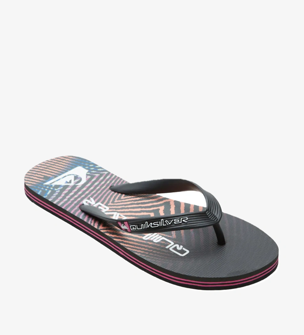 Quiksilver MOLOKAI WORDBLOCK model görseli