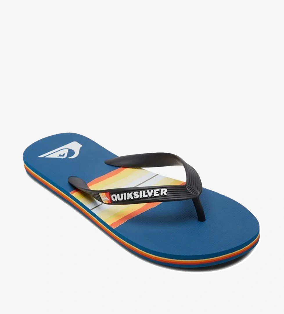 Quiksilver MOLOKAI RESIN TINT model görseli