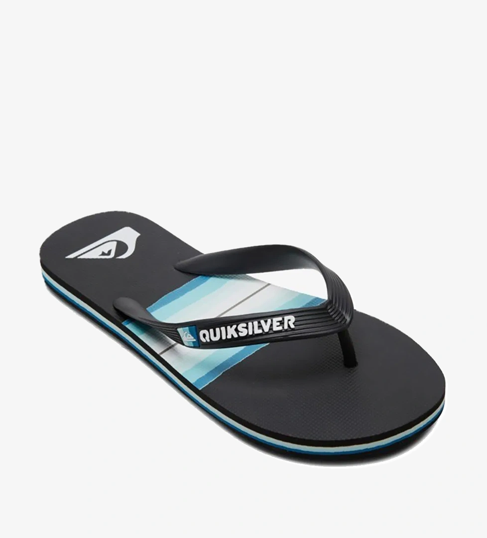 Quiksilver MOLOKAI RESIN TINT YOUTH model görseli