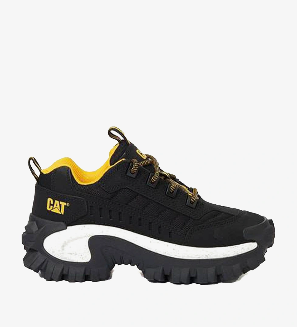 Cat Siyah Cat Intruder