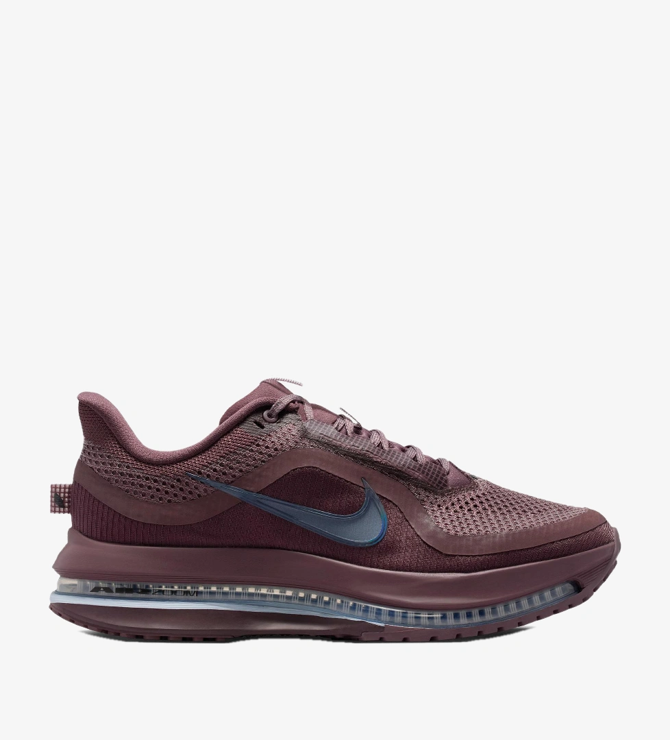 Nike Pembe Nike Pegasus