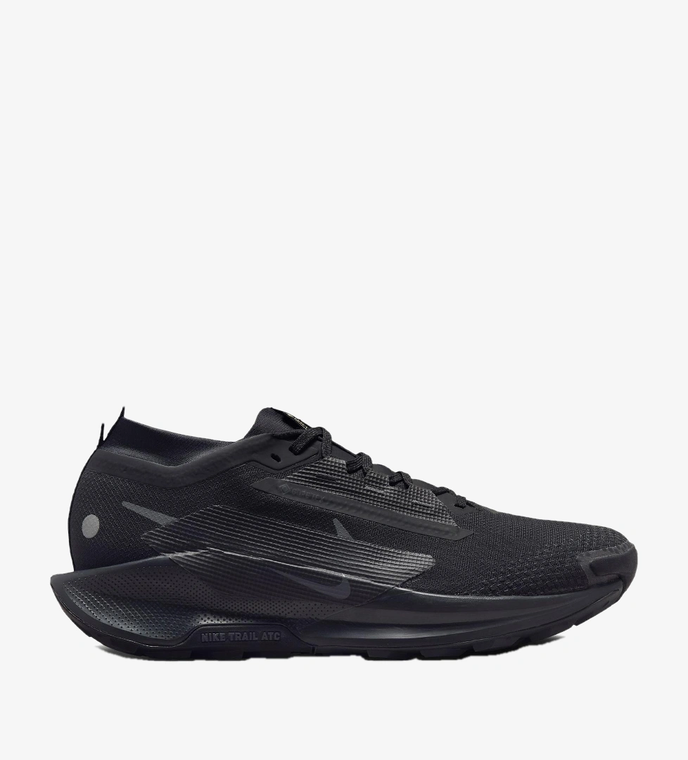 Nike Pegasus Trail 5 Gore-Tex Erkek Siyah Koşu Ayakkabısı