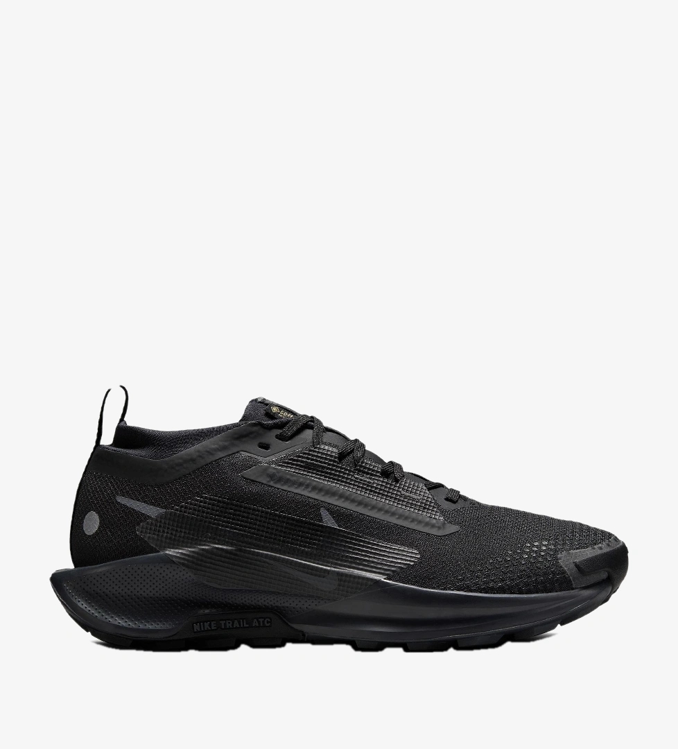 Nike Pegasus Trail 5 Gore-Tex Kadın Siyah Koşu Ayakkabısı