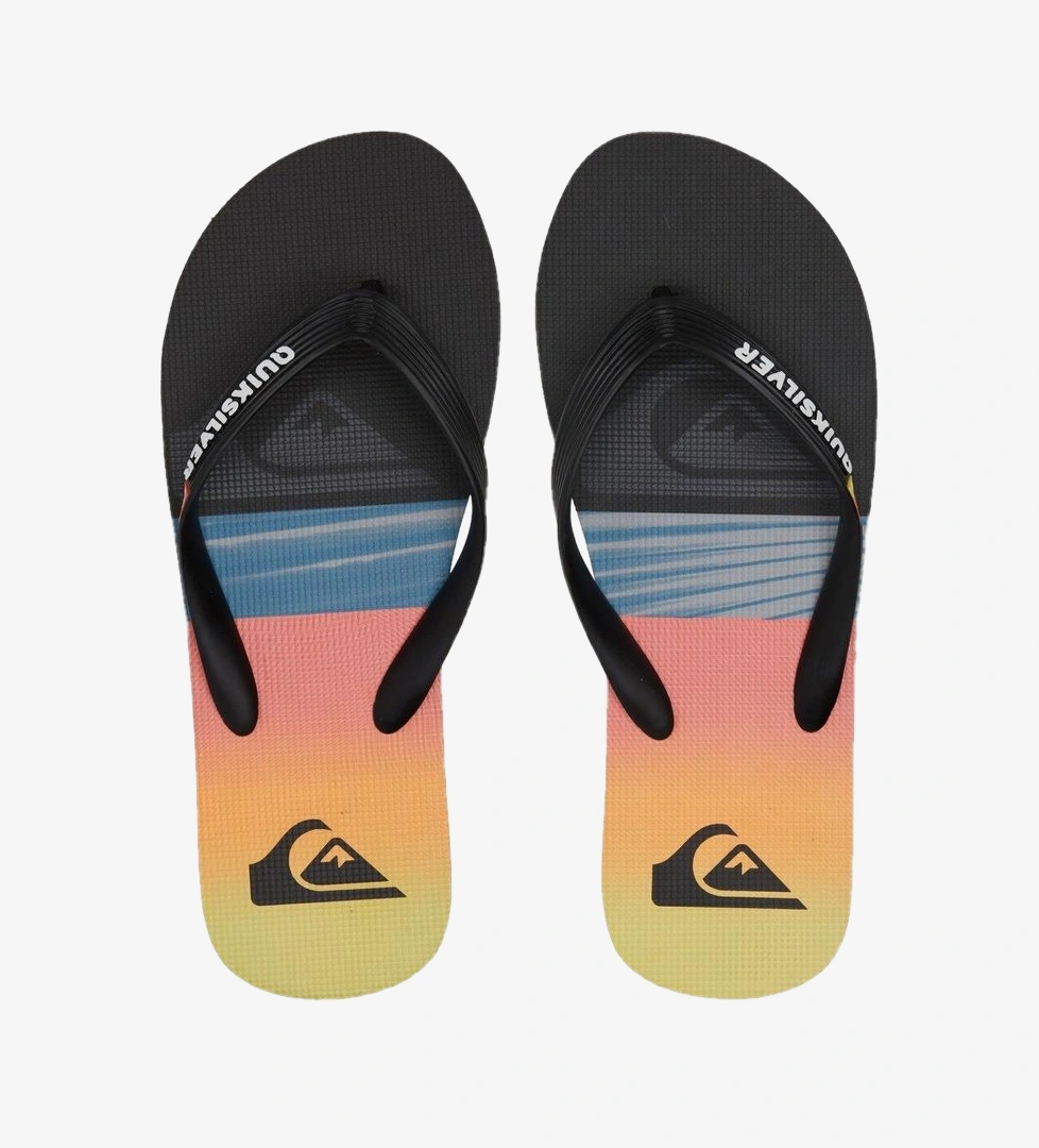 Quiksilver Quiksilver Molokai Panel