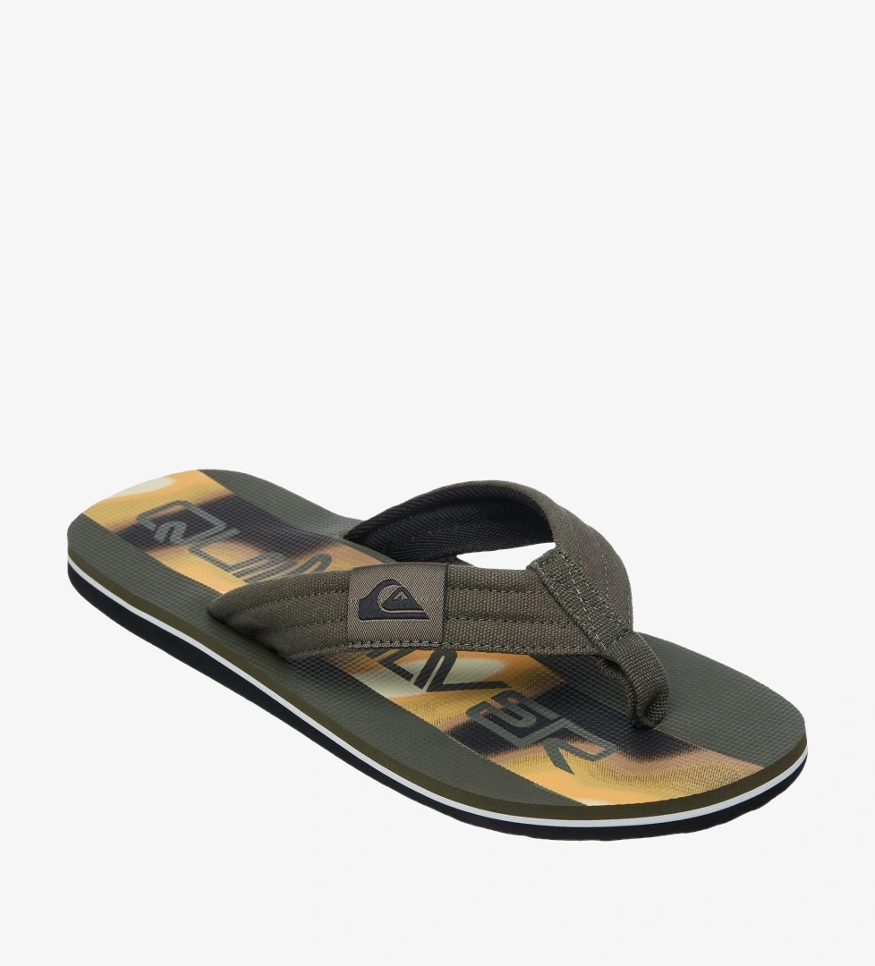 Quiksilver Siyah Quiksilver Molokai