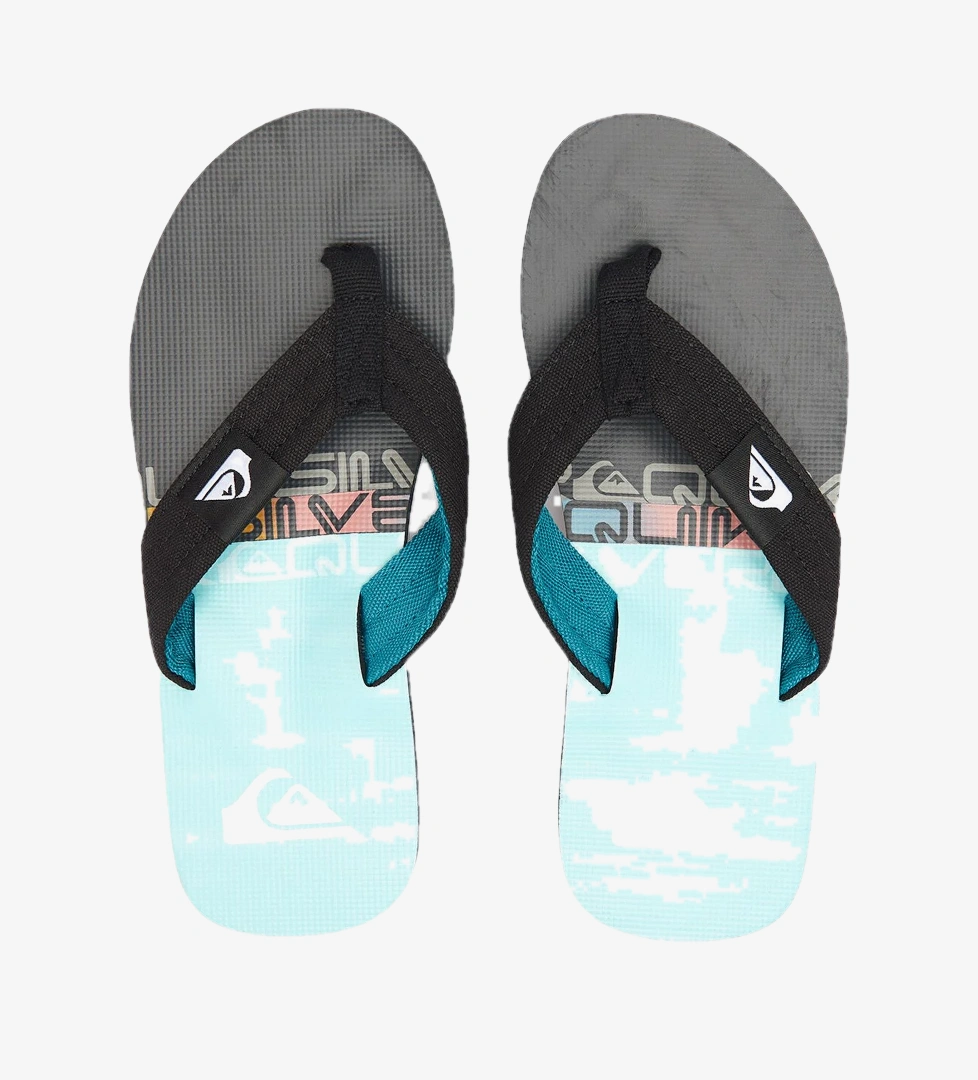 Quiksilver Molokai Layback II Erkek Mavi Terlik