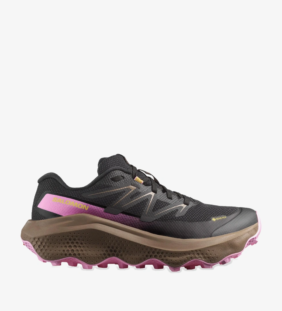Salomon Ultra Flow 2 Gore Tex Kadın Siyah Koşu Ayakkabısı