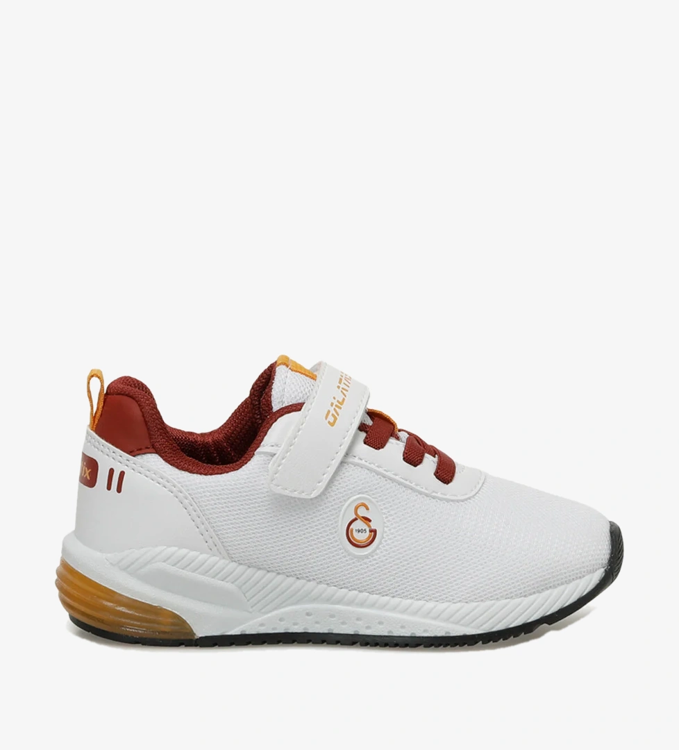 Gs Korper