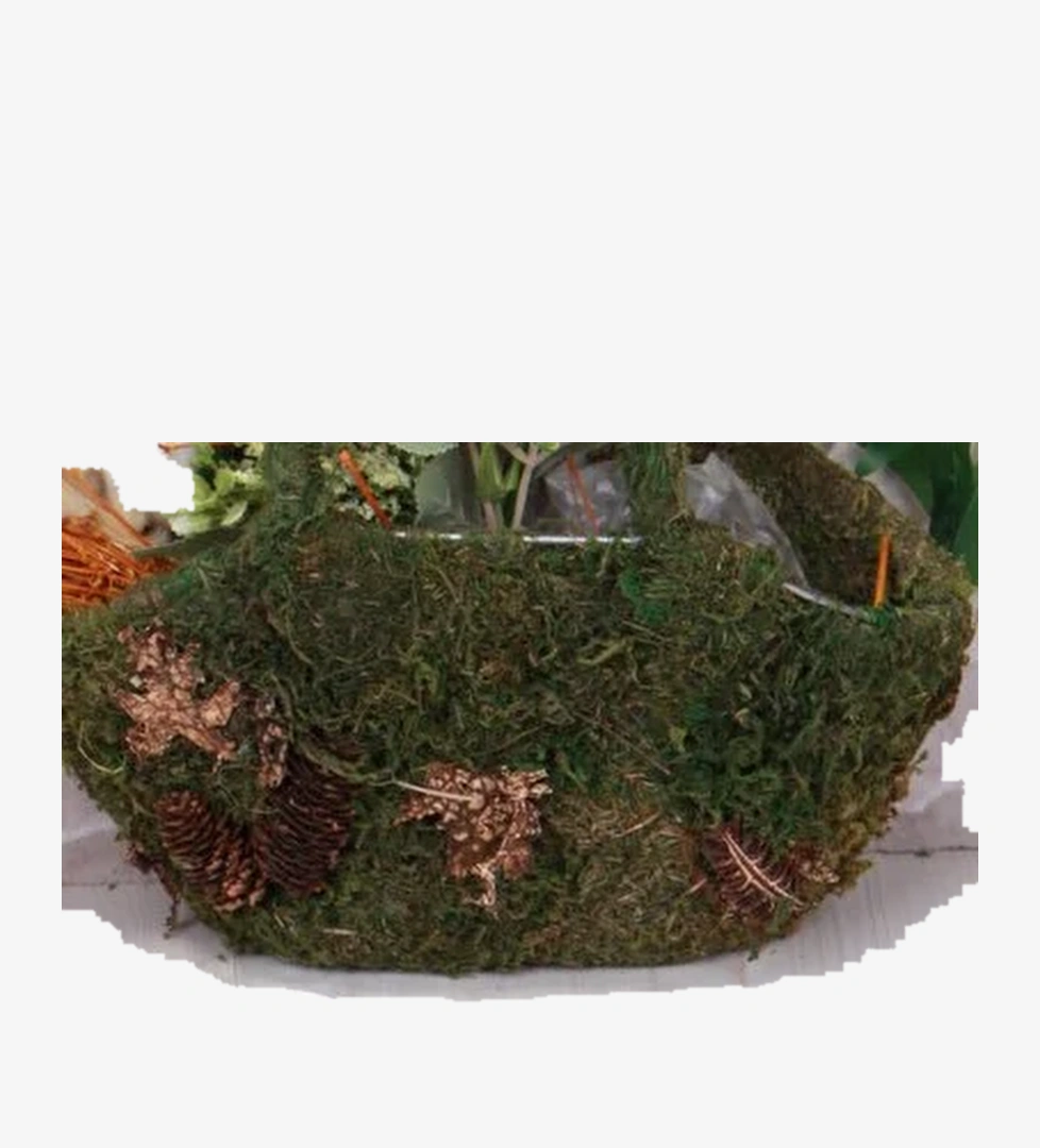 Fort Siyah Fort Rahat 018301 Anatomik Kız Çocuk Babet