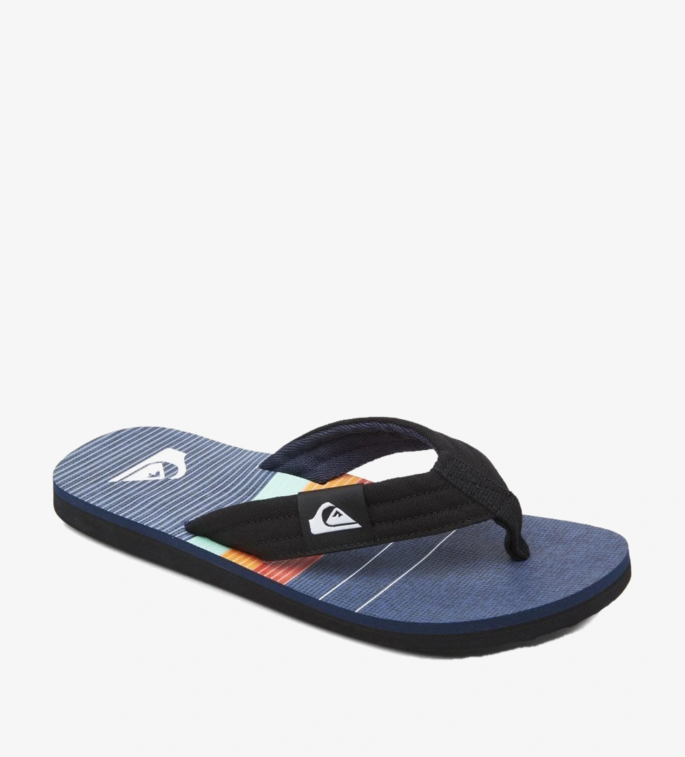 Quiksilver Mavi Quiksilver Molokai Layback