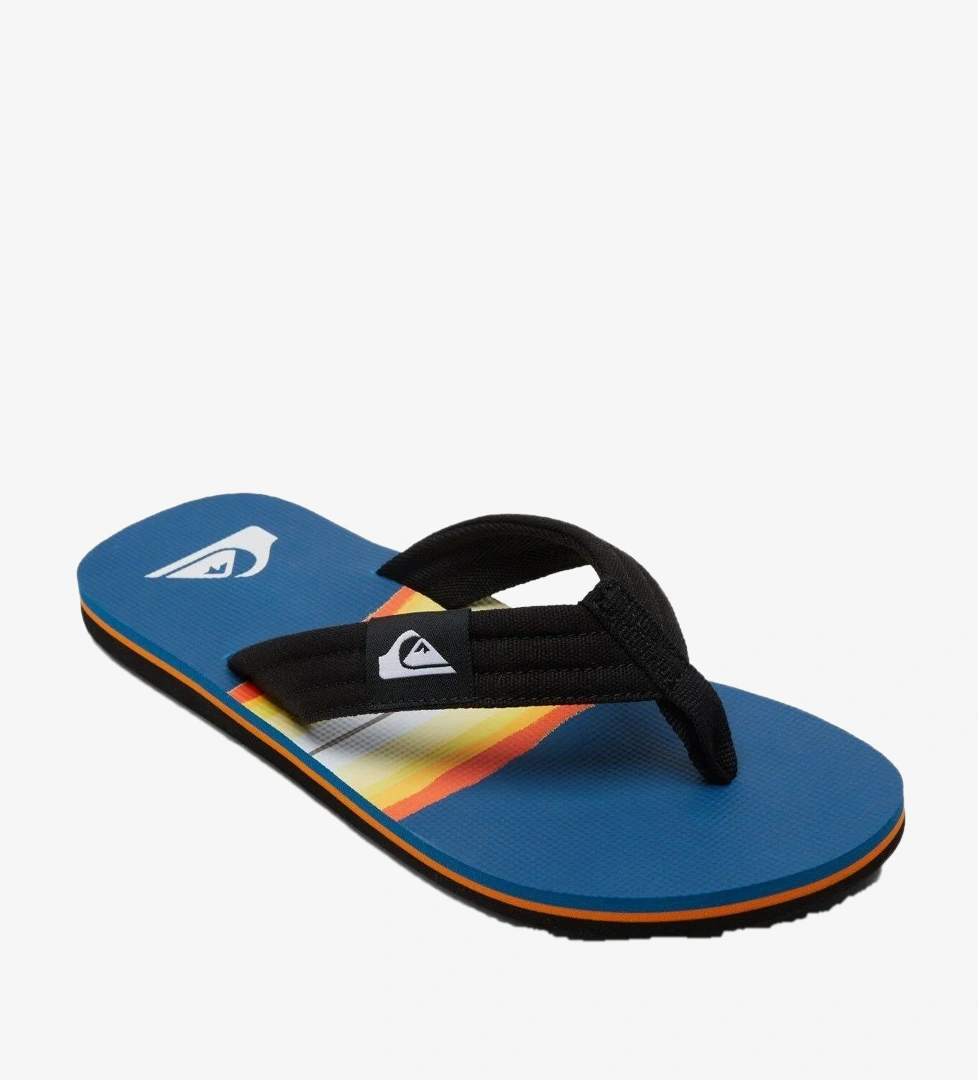Quiksilver Mavi Quiksilver Molokai Layback