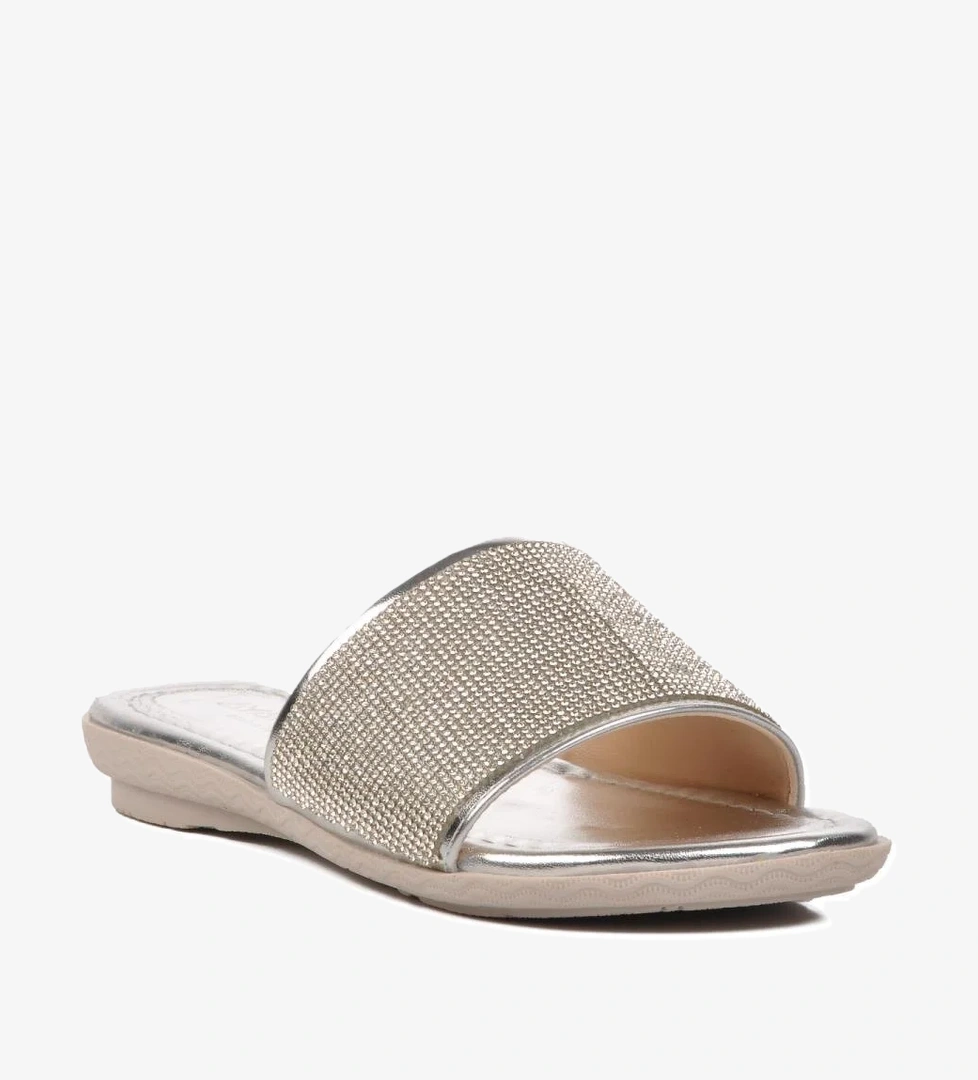 246012 Gümüş Taşlı Kadın Terlik