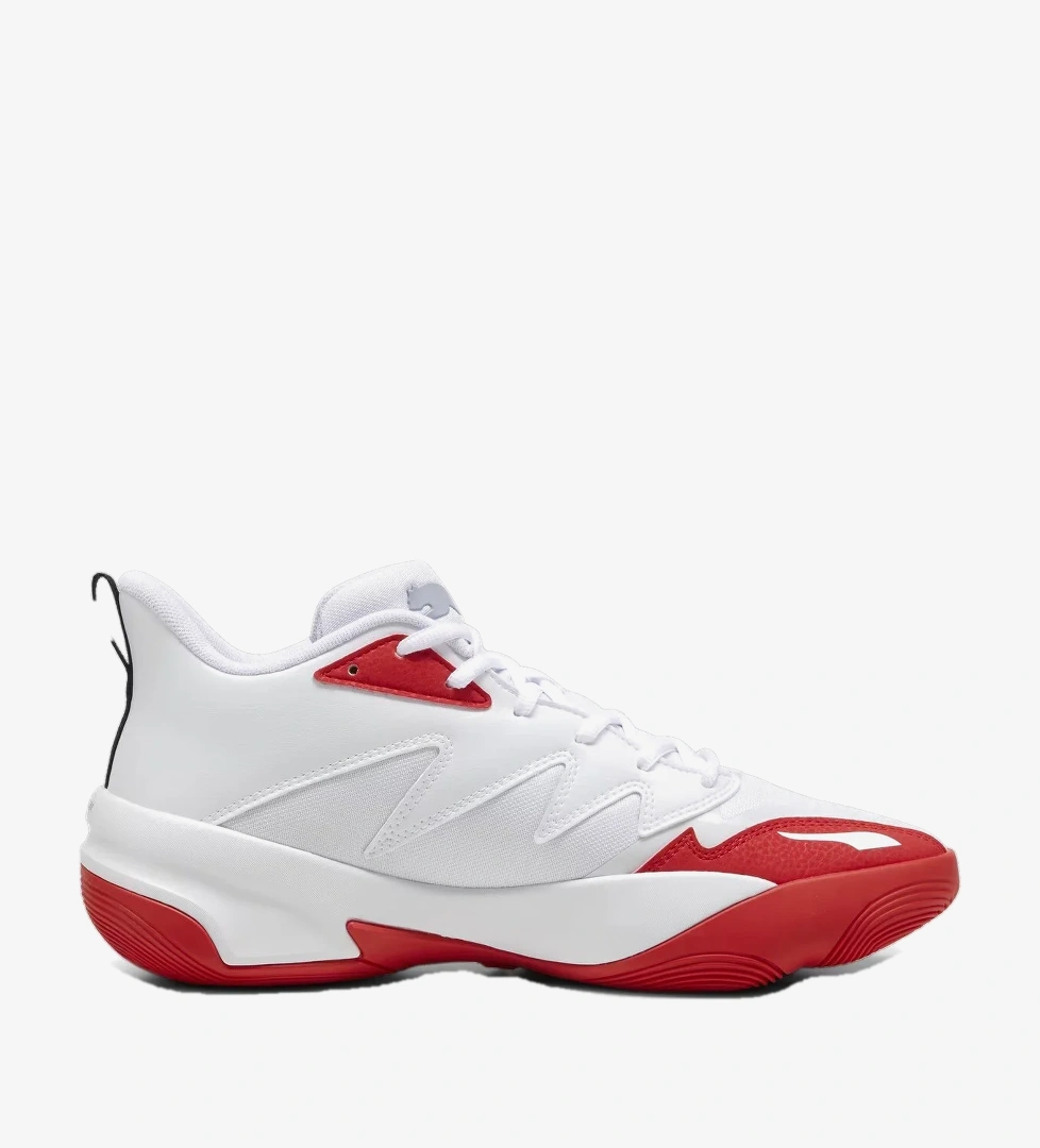 Puma Beyaz Puma Genetics