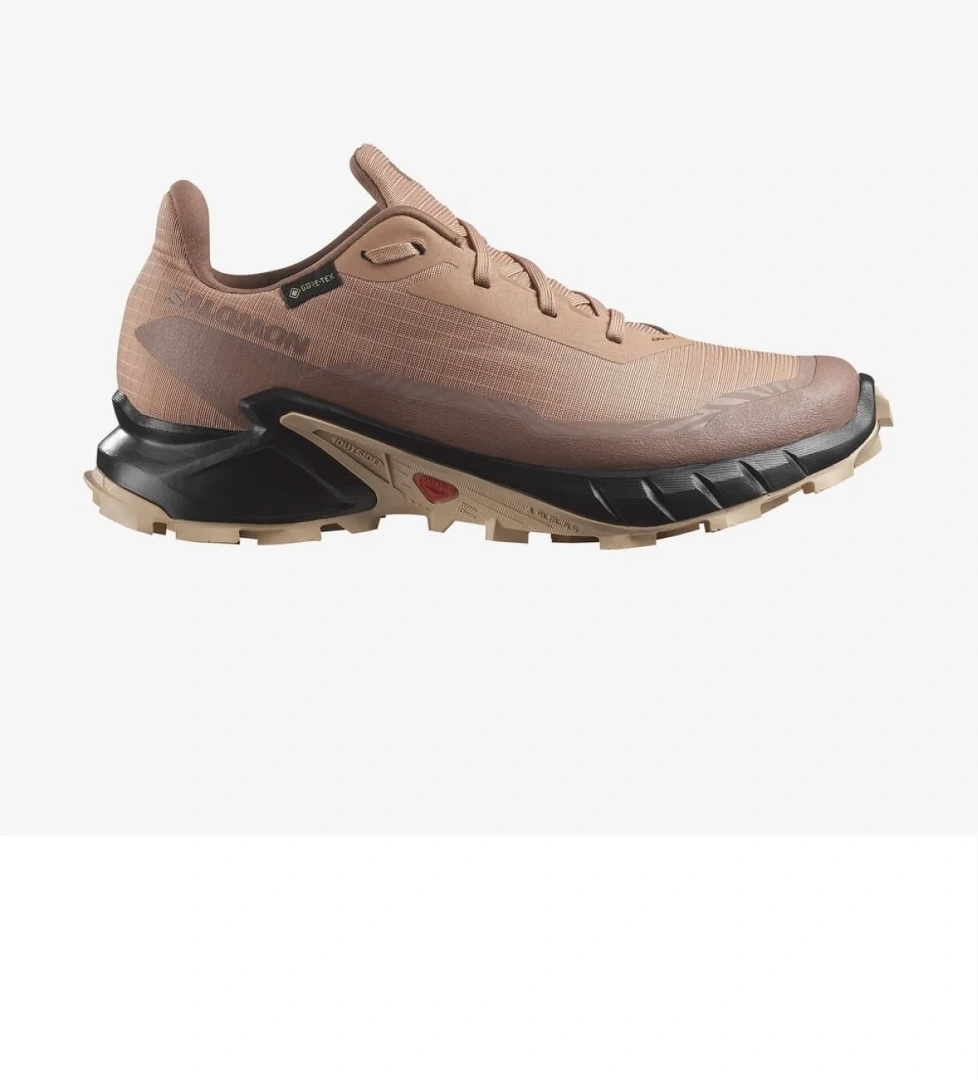 Salomon Alphacross 5 Gtx W 475951 model görseli