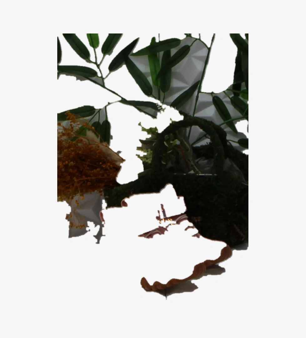 946.P24K.423 Pudra Radus Big Kids Phylon Kız Çocuk Bot - Görsel 1