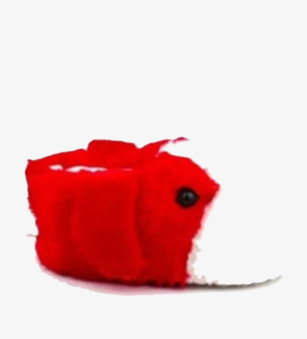 Akınal 572-24 Termal Köpek Figürlü Panduf 36-40