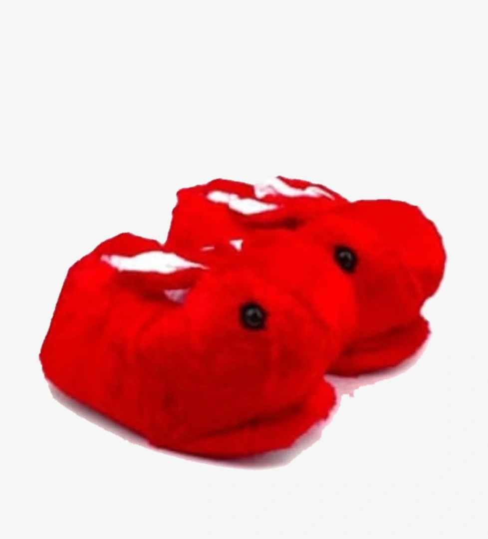 Akınal 571-24 Termal Tavşan Figürlü Panduf 36-40