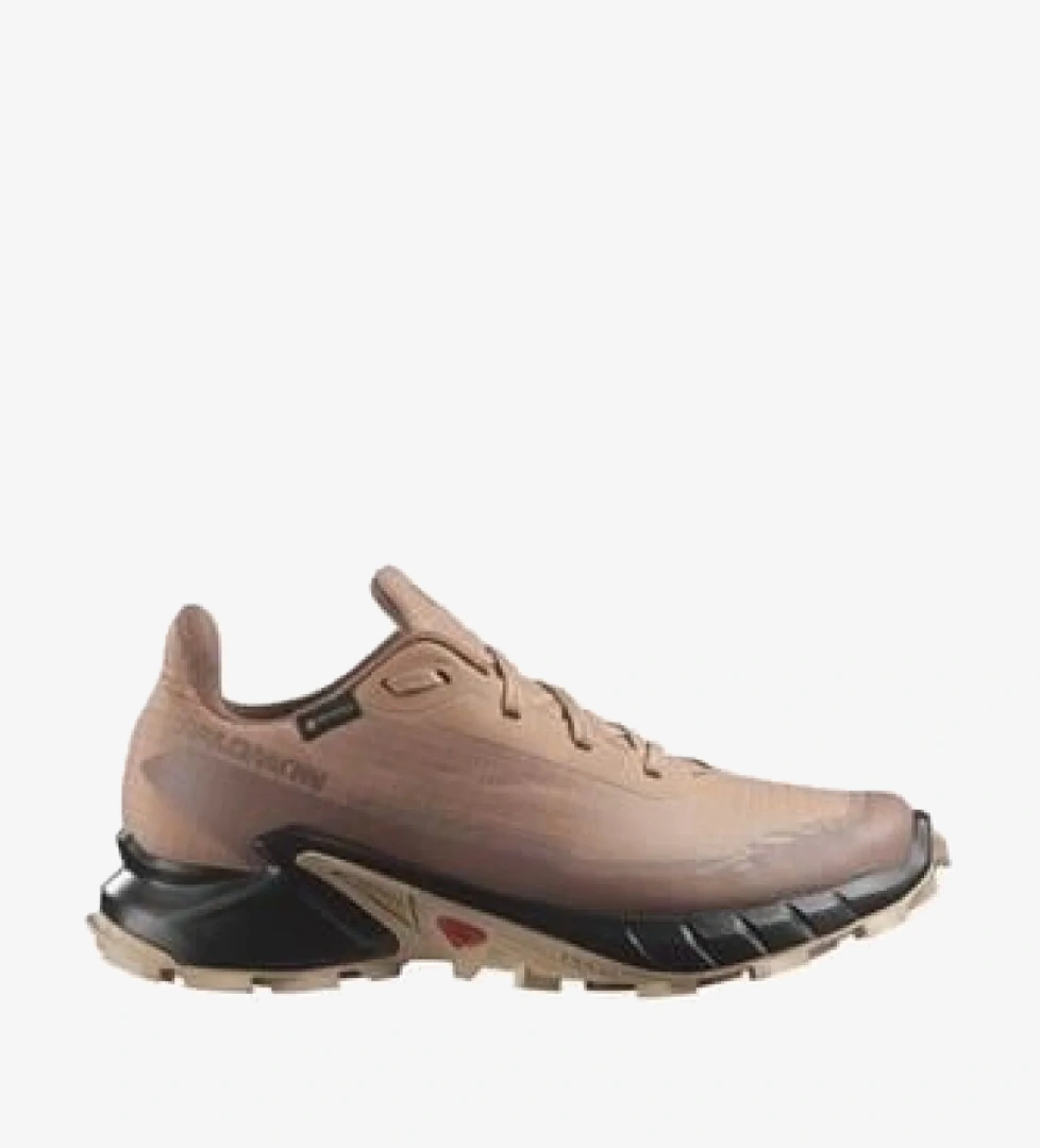 Alphacross 5 Gtx W Kadın Outdoor Ayakkabı L47595100 - Görsel 1