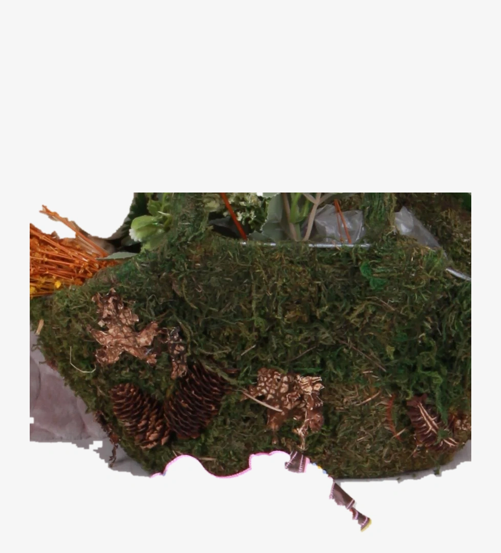 Vicco 346.B23Y.181 Pembe Kita Işıklı Kız Çocuk Ayakkabı model görseli