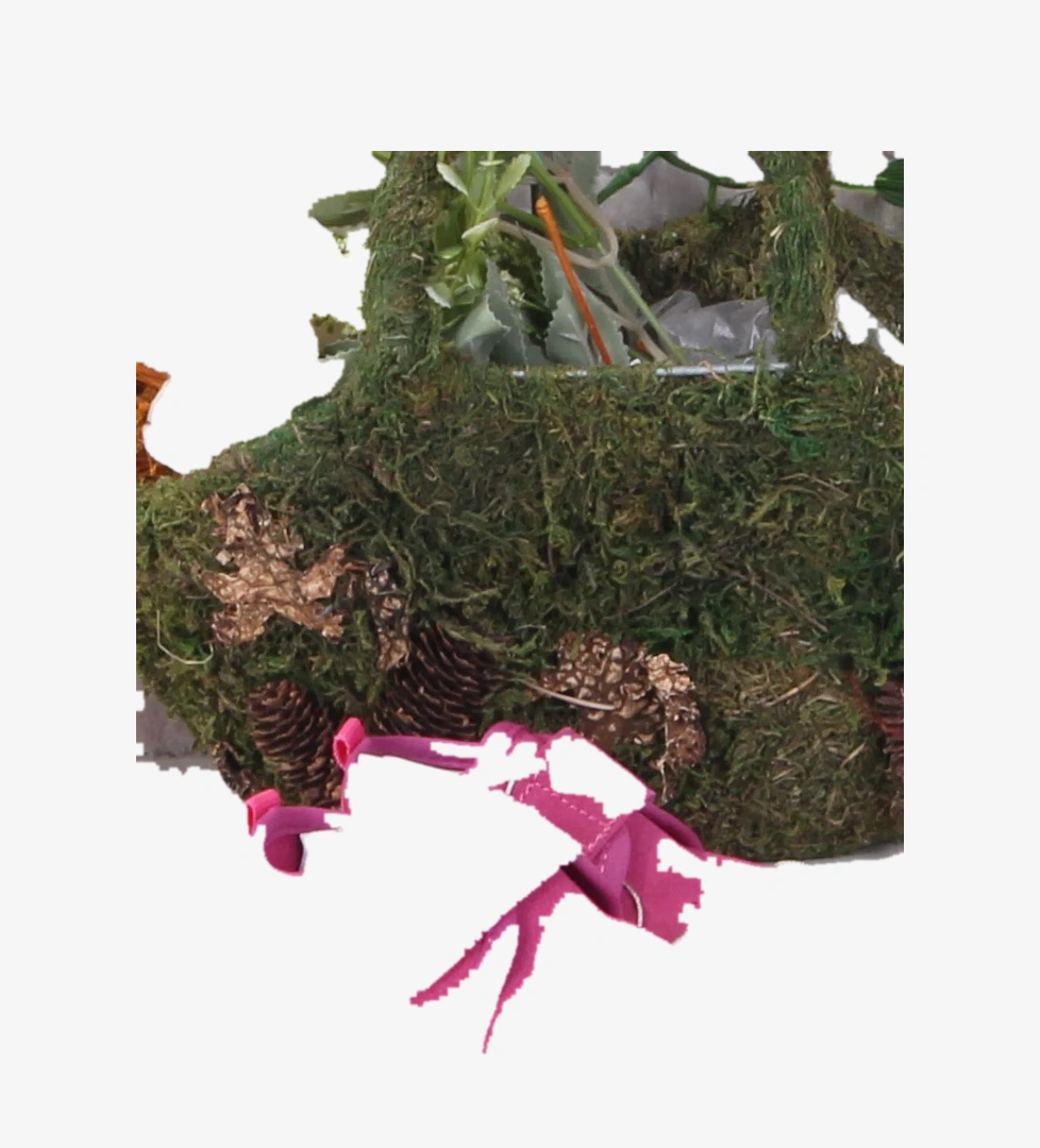 950.E25Y.224 Fuşya Anka II Anatomik Esnek İlk Adım Ayakkabı - Görsel 1