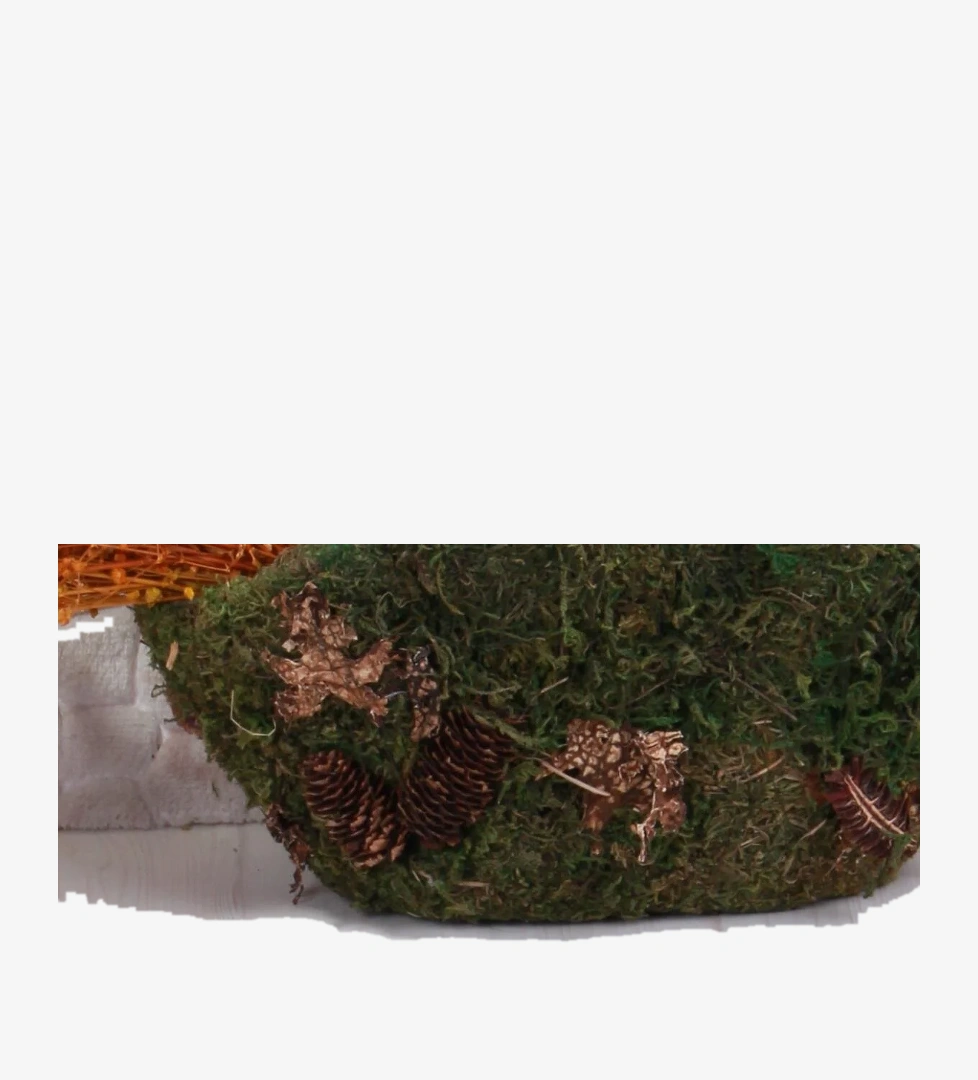 Vicco Vicco Pembe 950.E25Y.237 Pudra Orm Anatomik Kız Çocuk İlk Adım Ayakkabısı Flo'da! Pembe - 1. görsel