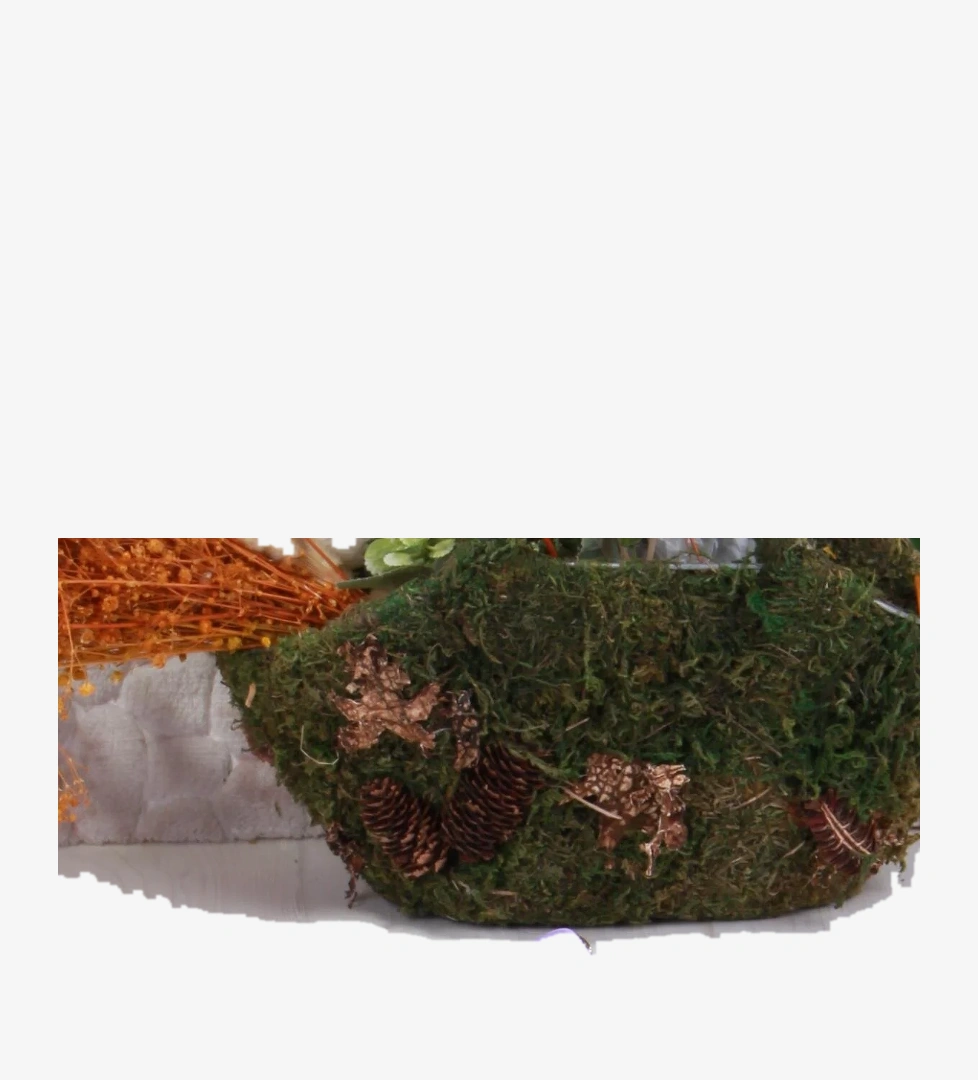 Clx 6990 Plaj Deniz Havuz Terliği Hafif Rahat Esnek Kız Çocuk Terlik