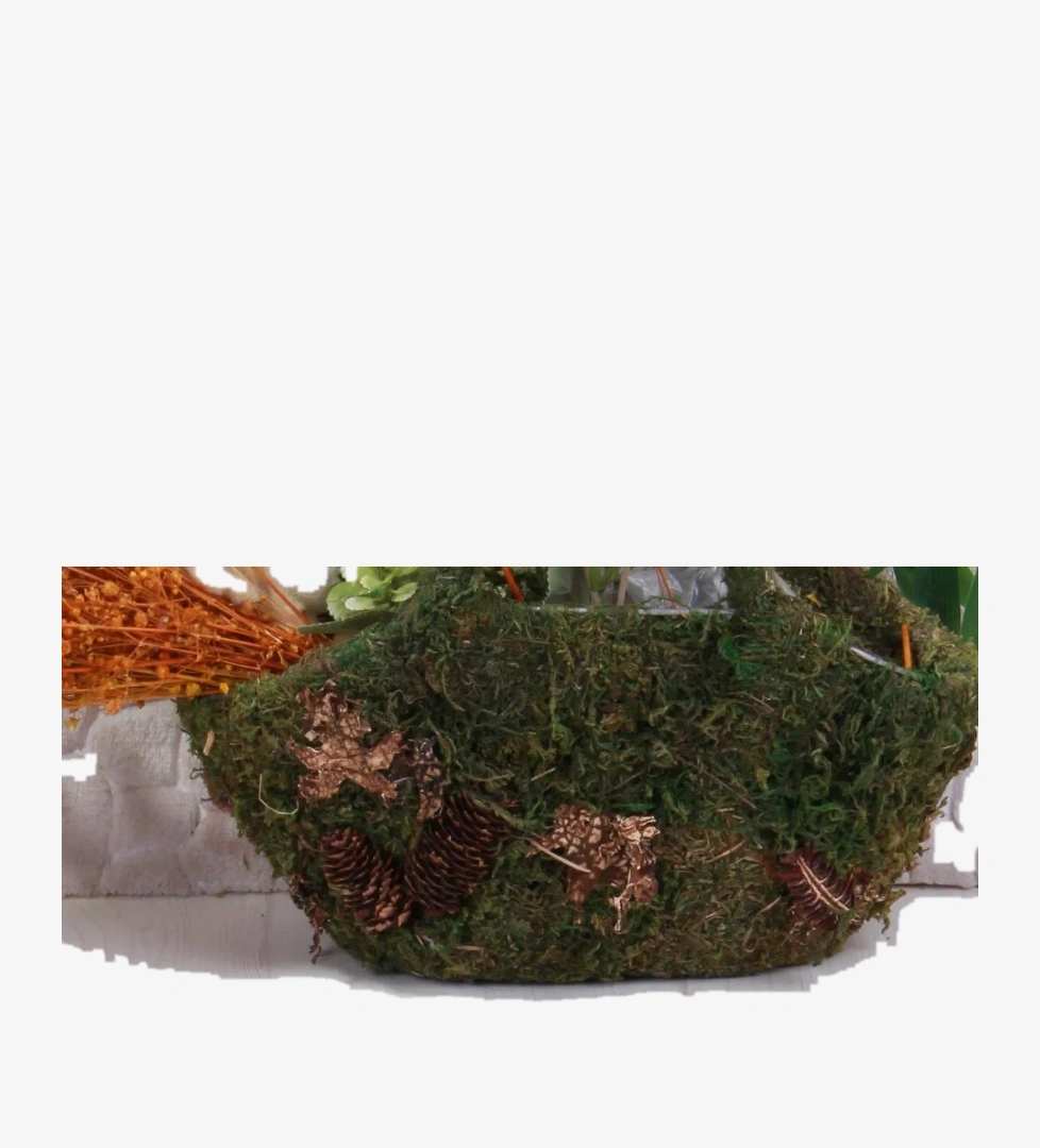 Clx 6990 Plaj Deniz Havuz Terliği Hafif Rahat Esnek Kız Çocuk Terlik