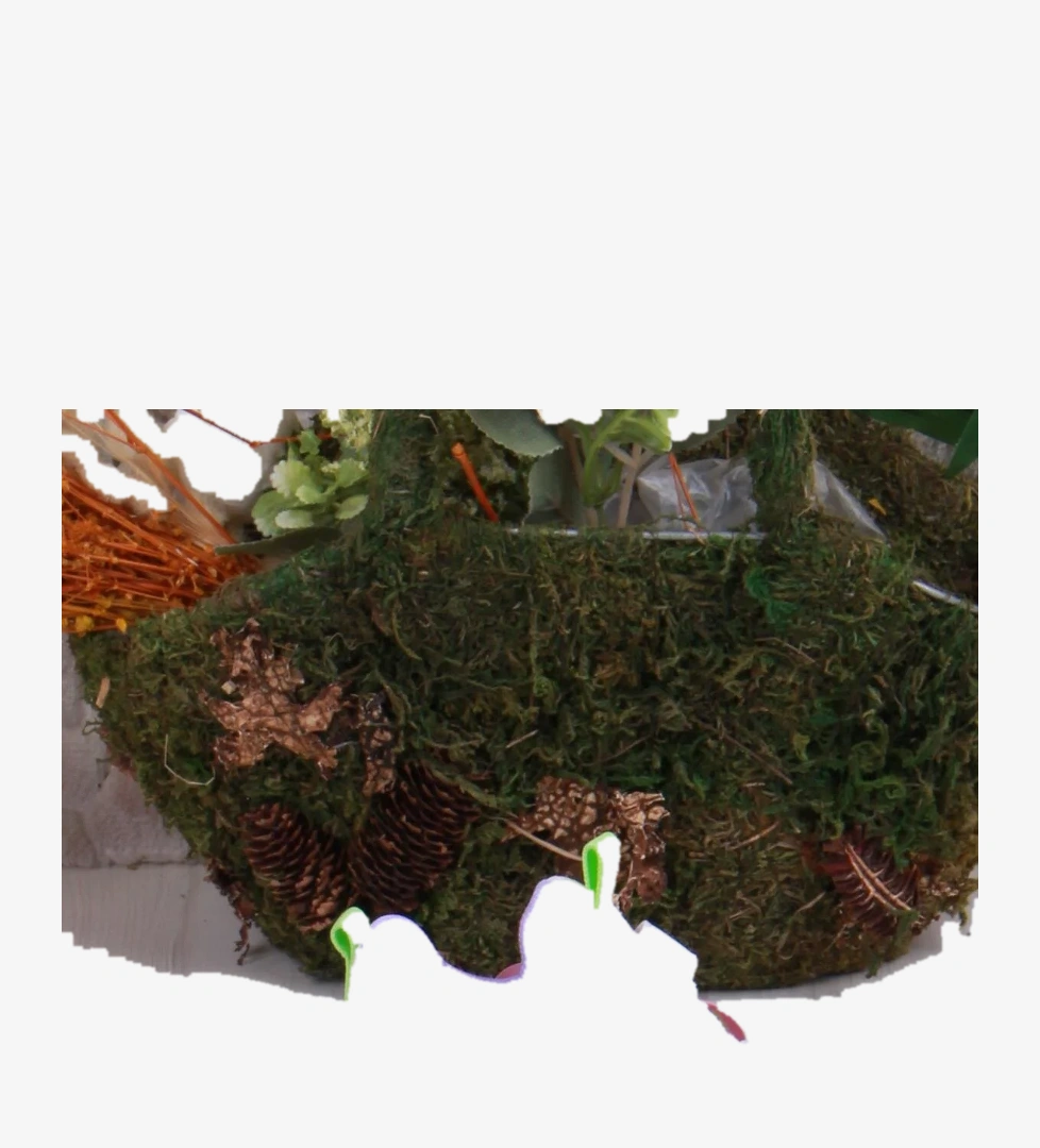 Cool Peter Bebe Hafif Rahat Kız Çocuk Ayakkabı