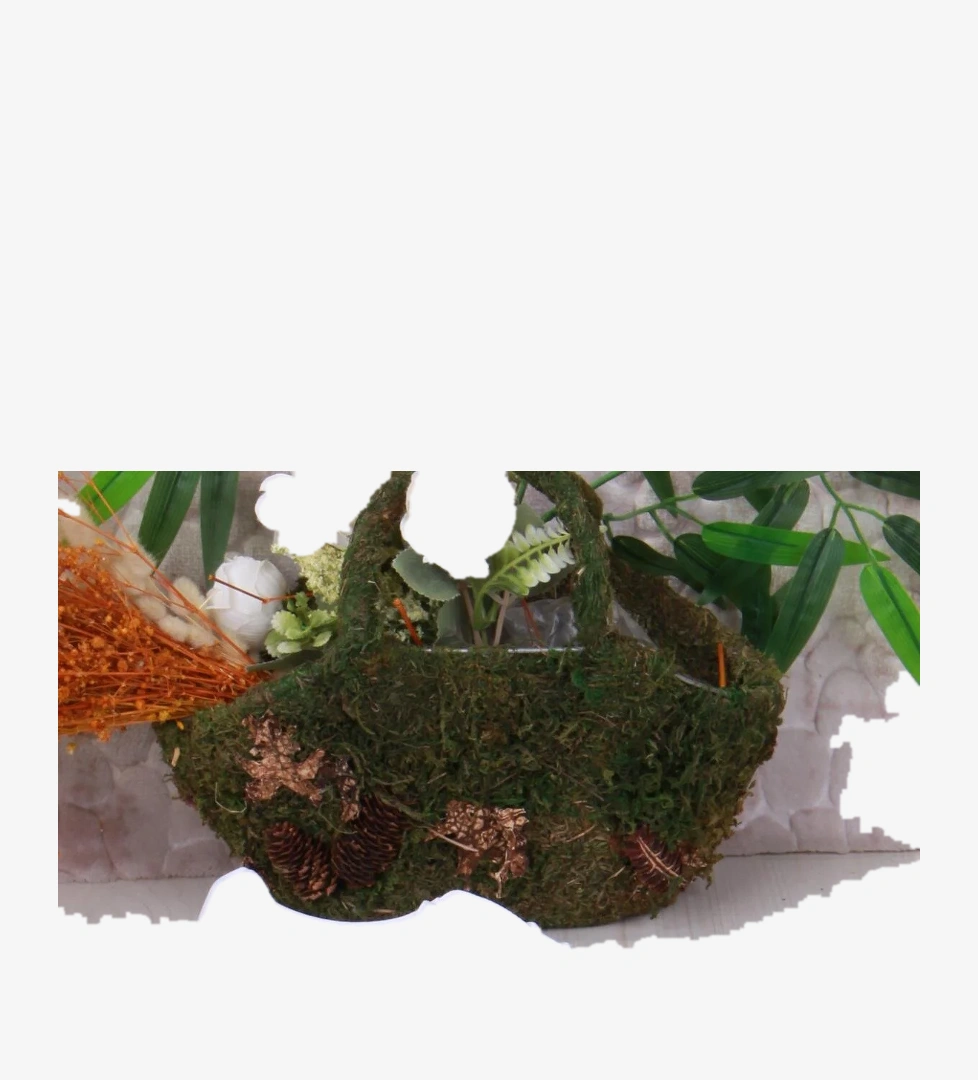 07404 Cnt Cilt Suni Deri Latikli Bağçıklı Kalın Taban Erkek Ayakkabı