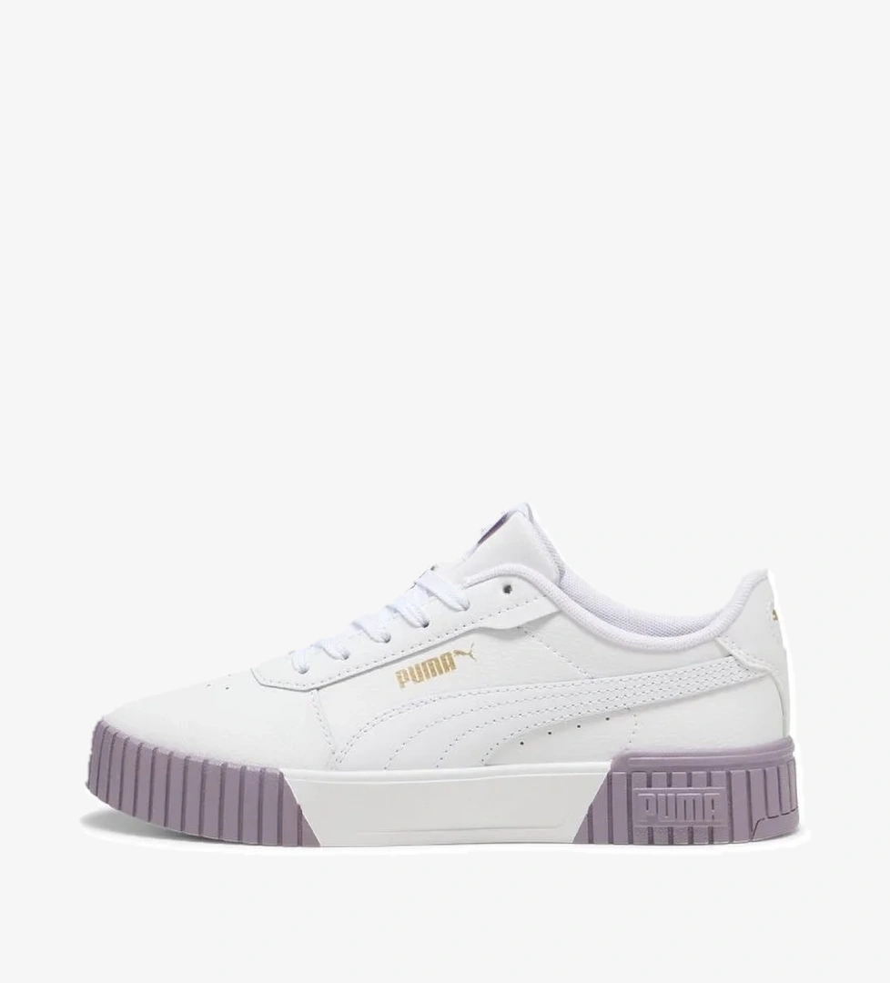 Puma Carina 2.0 model görseli