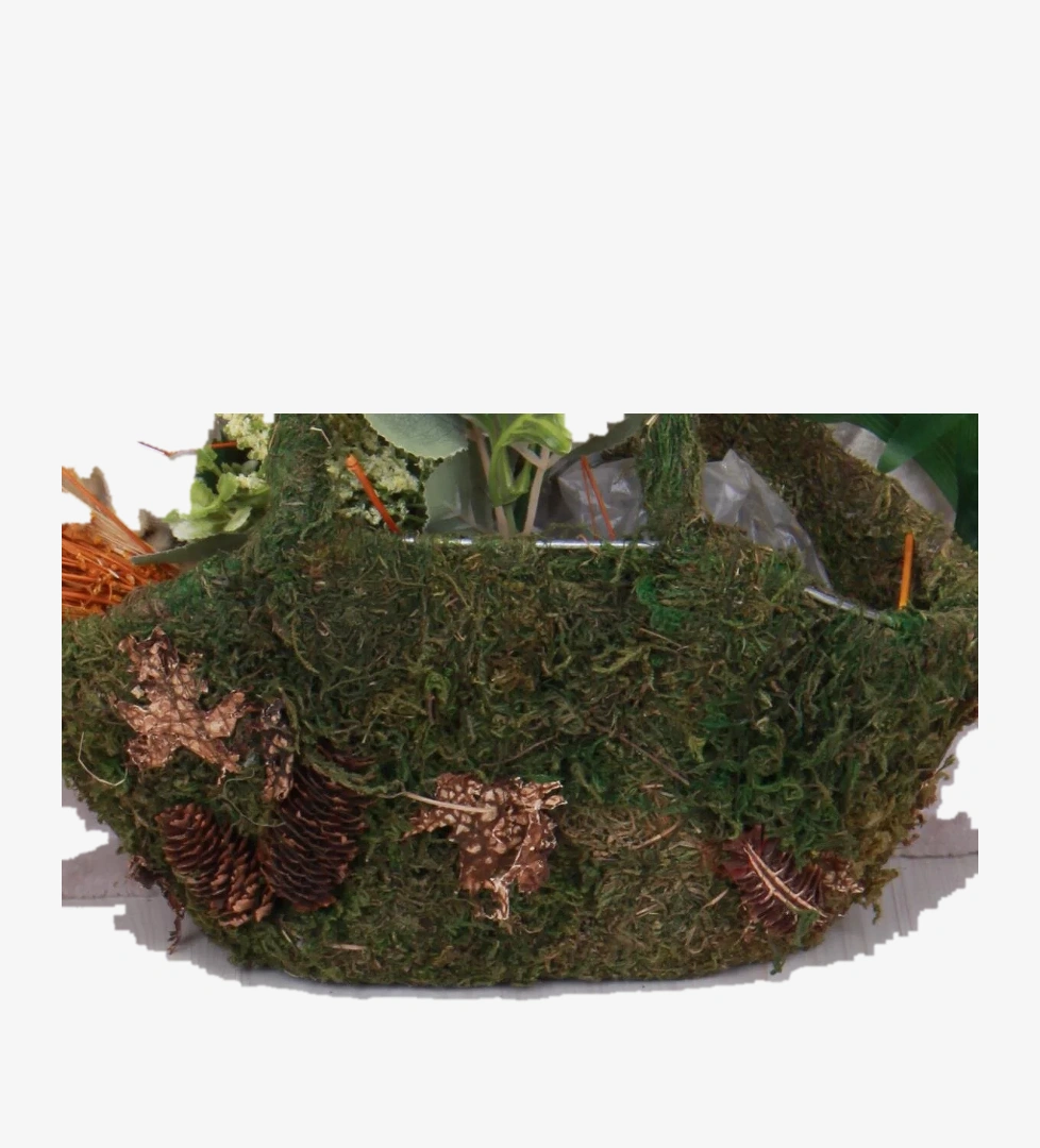 030162 Rahat Anatomik Kız Çocuk Babet