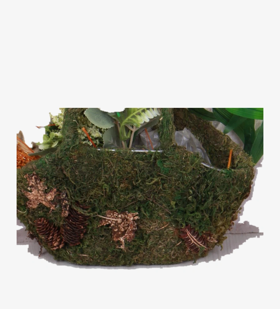 018306 Rahat Anatomik Kız Çocuk Babet