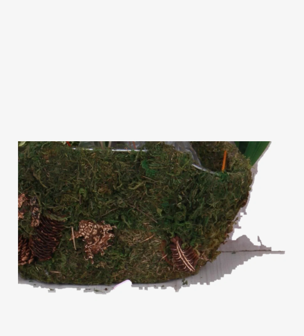 Vicco 332.E25Y.217 Live Beyaz İlk Adım Işıklı Kız Çocuk Sandalet model görseli