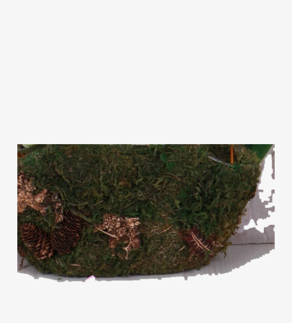 346.B25Y.177 Pembe Gelato Hafif Rahat Işıklı Kız Çocuk Ayakkabı - Görsel 1